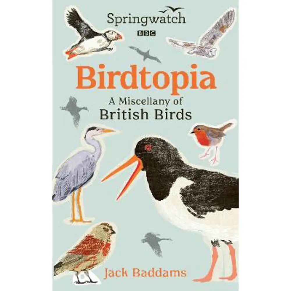 Springwatch: Birdtopia (Hardback) - Jack Baddams